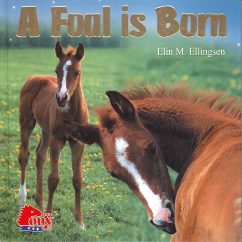 A Foal is Born