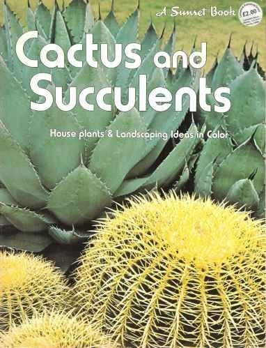 Succulents and Cactus